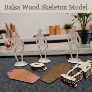 Balsa Wood Skeleton Model – “Bones” | Halloween Decor | Easy No‑Glue Assembly | Laser-Cut Anatomical Display